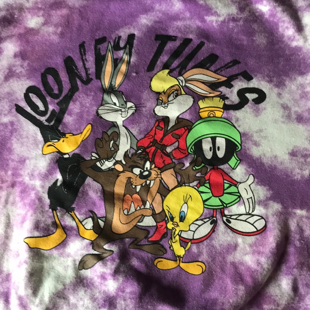 Looney tunes sweater